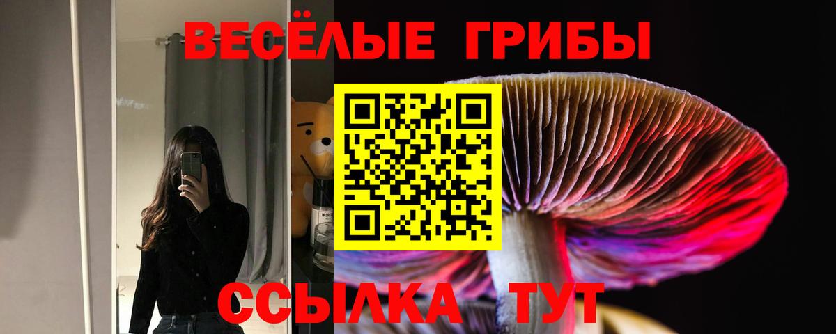 Галлюциногенные грибы Cubensis  Псилоцибиновые грибы ЛСД  Кудрово  Вход с VPN 
