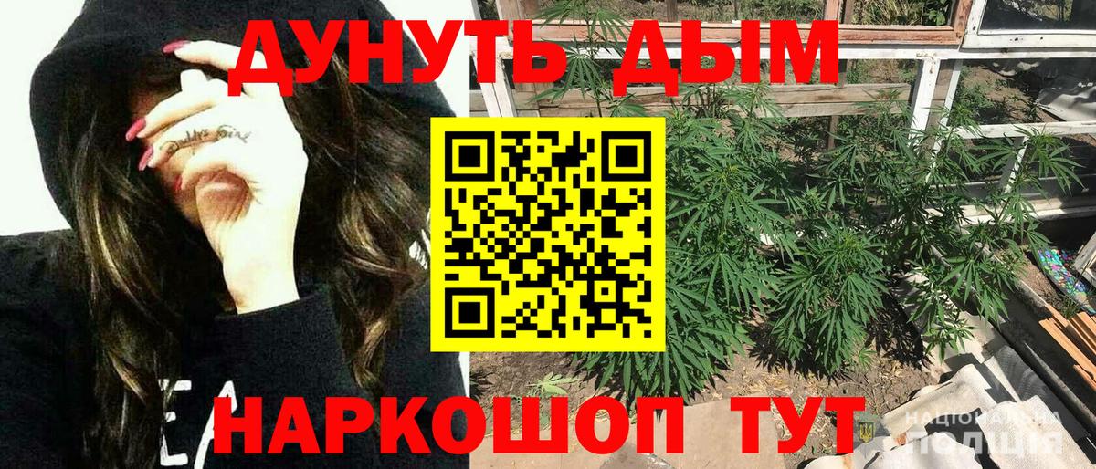 Бошки марихуана сатива  Бошки Шишки марихуана  Бошки марихуана ГИДРОПОН  Вход с VPN  МАРИХУАНА план  Кудрово 